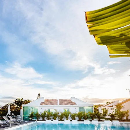 Seven & Wellness - Gay Men Only 4* Maspalomas (Gran Canaria)